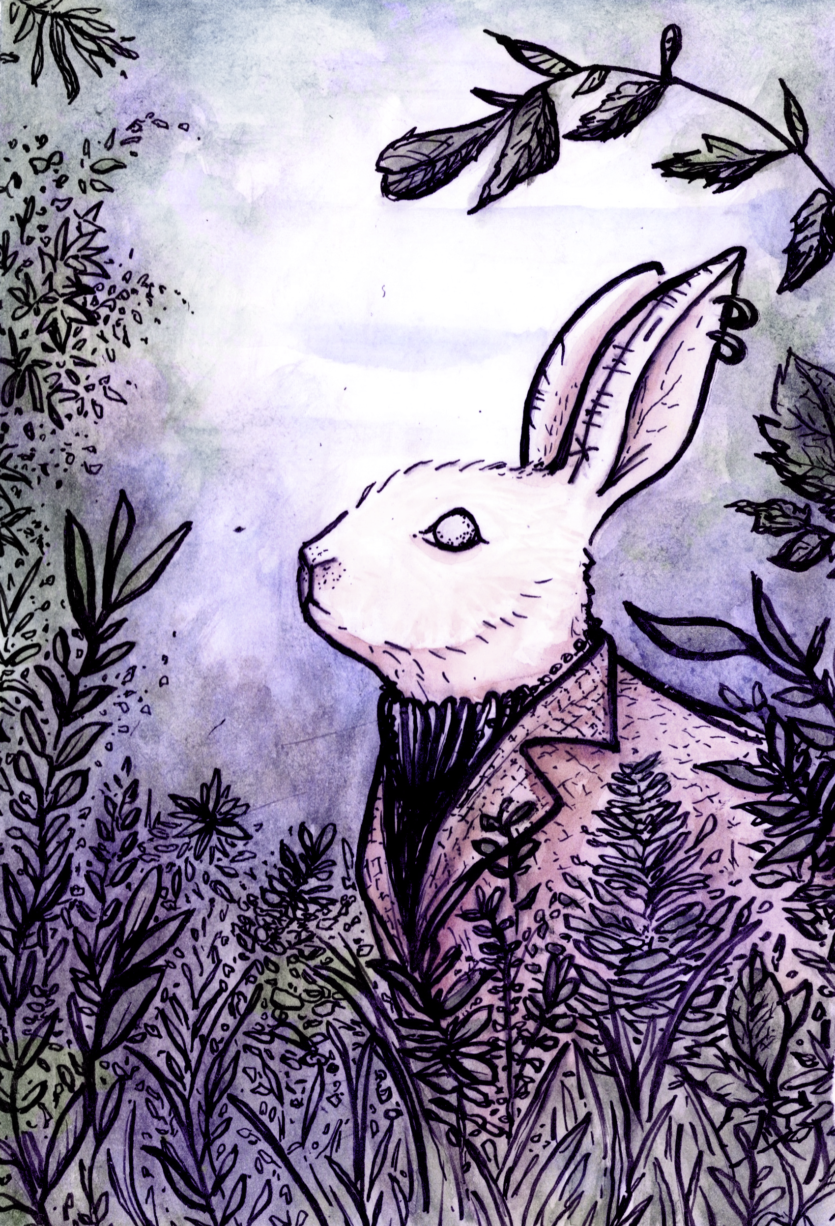 A Distinguished Guest illustration